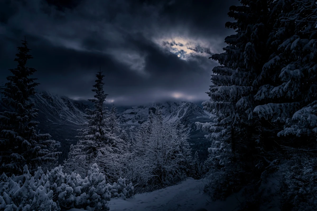 "Od 1 marca do 30 listopada na szlaki zapraszamy od świtu do zmierzchu" - przypomina Tatrzański Park Narodowy. Jak podkreśla TPN, "resztę doby zostawmy zwierzętom".