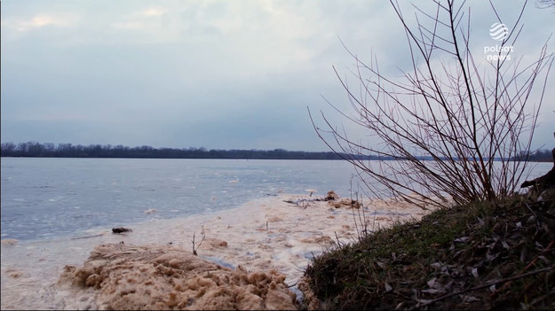 Przemysł ciężki na Śląsku wciąż truje Odrę, powtórka ubiegłorocznej katastrofy ekologicznej to kwestia czasu - alarmuje Greenpeace w najnowszym raporcie. Co gorsza, pojawiają się też niepokojące doniesienia o nadmiernym zasoleniu Wisły. Generalna Dyrekcja Ochrony Środowiska szuka winnych. Przypomnijmy, że w sprawie Odry do dziś ich nie ustaliła.Materiał dla "Wydarzeń" przygotował Michał Kwiatkowski. 