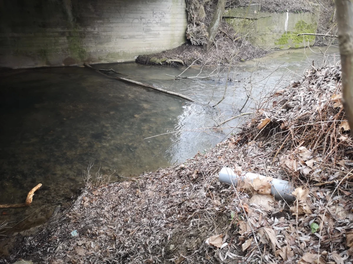 Kilkanaście dzikich wysypisk, prawie 100 rur, w 3 przypadkach ścieki były zrzucane podczas kontroli rzeki – to wyniki inwentaryzacji stanu środowiska na rzece Prądnik od Wielkiej Wsi do ujścia do Wisły w Krakowie. "Wykryliśmy 3 spusty ścieków w tym jeden spust substancji ropopochodnych, interweniowała straż pożarna, policja oraz WIOŚ" – przyznaje Paweł Chodkiewicz organizator akcji.