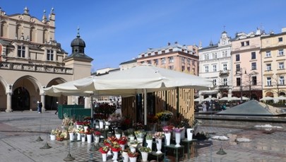 Testy stoisk dla kwiaciarek do końca marca