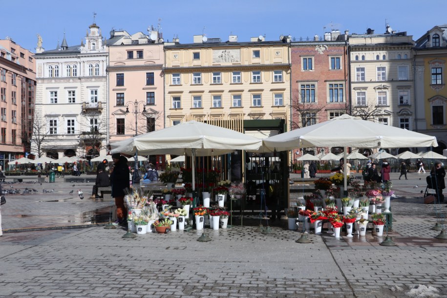 /Józef Polewka /RMF24