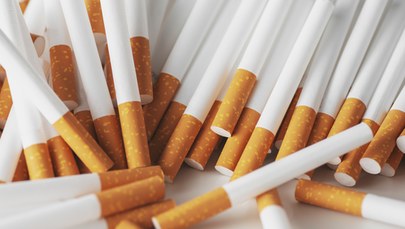 Przemycali tony tytoniu do fikcyjnych firm. 16 osób stanie przed sądem