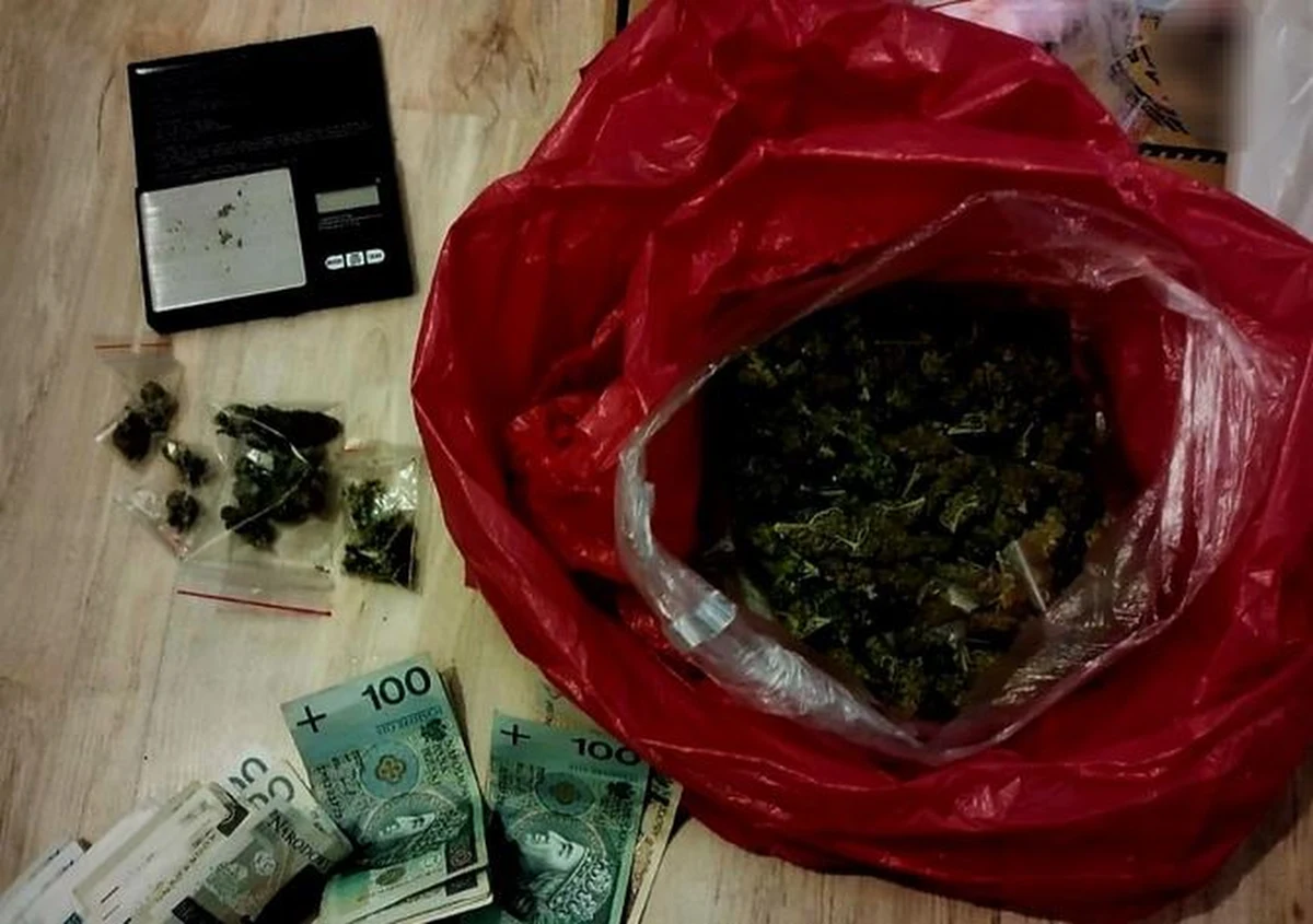 22 latek z Gdyni próbował sprzedać narkotyki policjantom, których wziął za potencjalnych klientów. Trafił na 3 miesiące do aresztu, a w więzieniu może spędzić nawet 10 lat.