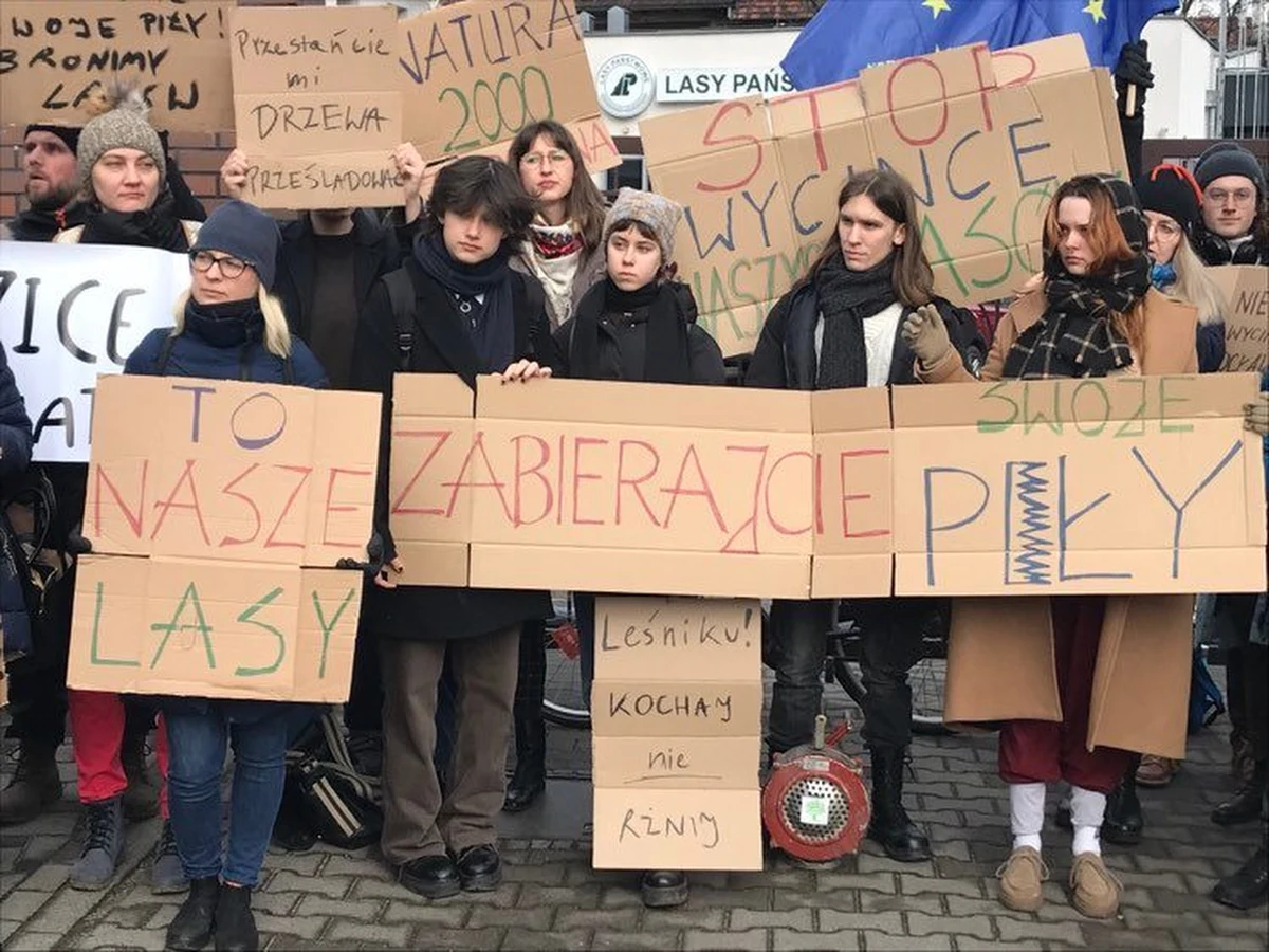 Ekologiczni aktywiści protestowali dziś przed siedzibą Lasów Państwowych we Wrocławiu. Sprzeciwiają się wycince drzew w lasach dookoła miasta. Leśnicy podkreślają, że drzewa nie są wycinane bez kontroli.