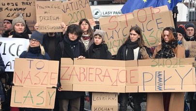  "Zabierajcie swoje piły". Protest aktywistów we Wrocławiu