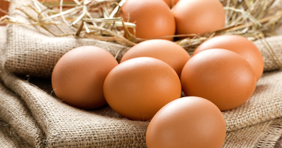 Za miesiąc zasiądziemy z rodzinami do śniadania wielkanocnego. Nieodłącznym elementem świątecznych potraw są oczywiście jajka. Ile możemy za nie zapłacić i co wpływa na ich obecne ceny?
