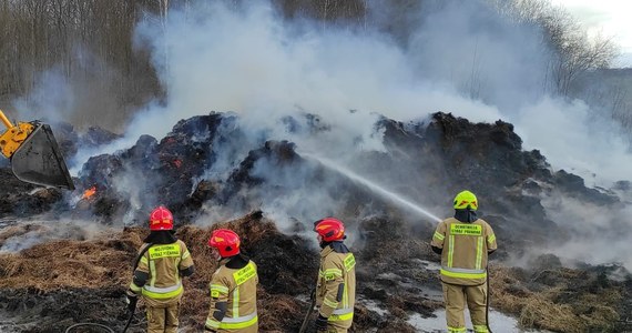 Blisko dwa dni trwało gaszenie pożaru kostek słomy składowanych przy jednej z kotłowni we Fromborku (woj. warmińsko-mazurskie). W akcji uczestniczyło prawie 100 strażaków i 42 pojazdy pożarnicze.