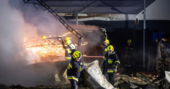 Strażacy opanowali pożar, który ogarnął jedną z trzech hal fabryki mebli tapicerowanych w Wałdowie Królewskim (woj. kujawsko-pomorskie). Nikt nie został ranny.