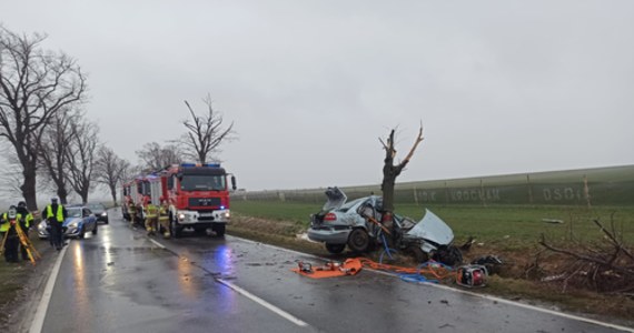 Do śmiertelnego wypadku doszło dzisiaj rano na drodze wojewódzkiej numer 374 w Stanowicach (woj. dolnośląskie). Według wstępnych ustaleń, samochód osobowy uderzył w drzewo. Kierowca zginął na miejscu.