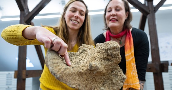Podczas sprzątania Simone Grundmann z miasta Soest na zachodzie Niemiec natknęła się na karton z czterema kośćmi, które kiedyś wykopał jej ojciec. Najpierw chciała wyrzucić znalezisko do śmieci. Ostatecznie jednak przekazała kości archeologom. Okazało się, że są to kości m.in. mamuta, które mają co najmniej 15 000 lat - pisze portal tygodnika "Spiegel".
