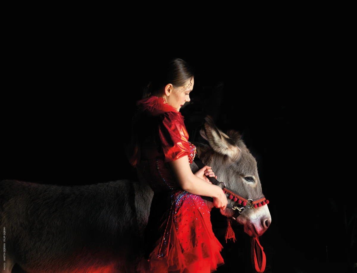 Film "IO" Jerzego Skolimowskiego nie otrzymał Oscara w kategorii "najlepszy film międzynarodowy". Zgodnie z przewidywaniami, statuetka trafiła do twórców "Na Zachodzie bez zmian".