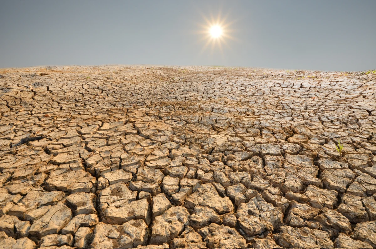 Susze, które nawiedzały Europę od 2015 r., były najdotkliwsze w skali ostatnich 400 lat – informują naukowcy na łamach "Nature Communications Earth & Environment". 