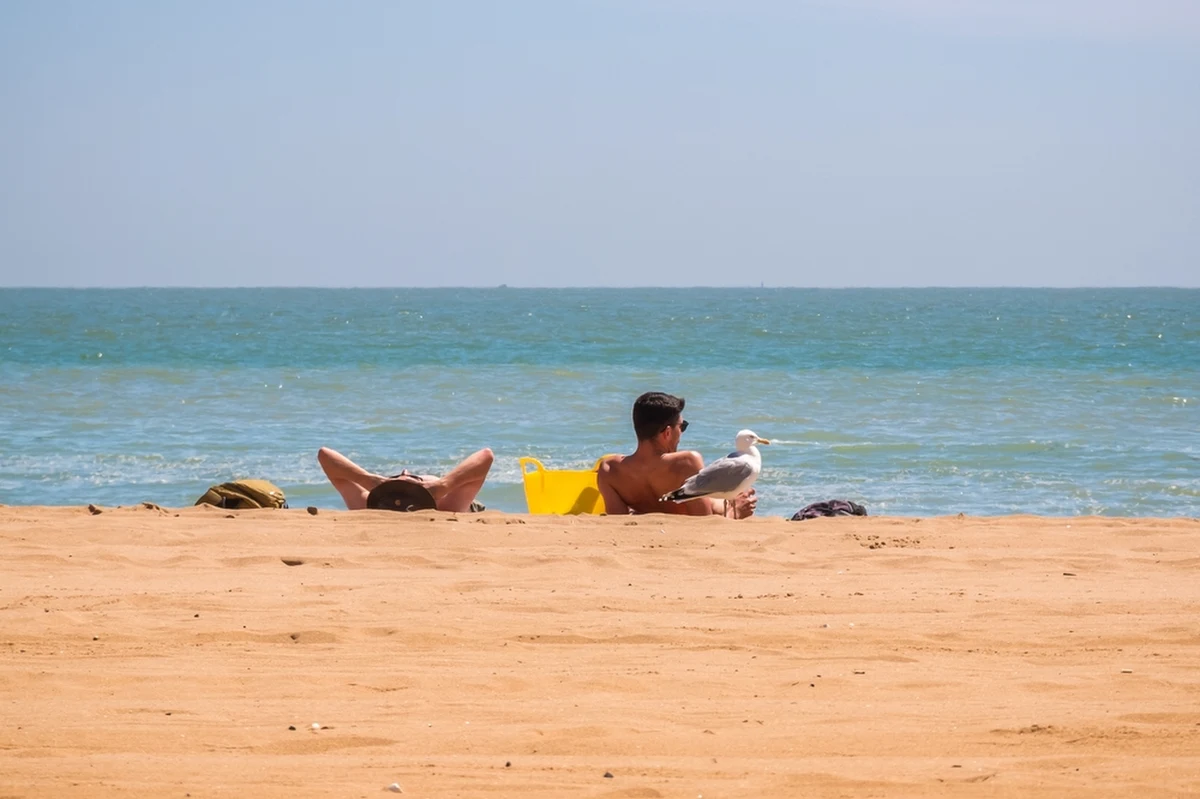 O ile temperatury na wiosnę mają być zgodne z normą wieloletnią, o tyle pierwsza część lata będzie cieplejsza niż zwykle - wynika z eksperymentalnej prognozy długoterminowej, opracowanej przez Instytut Meteorologii i Gospodarki Wodnej. Co ważne, opadów powinno być tyle, co zwykle. To ważna informacja, jeśli weźmiemy pod uwagę trwającą już w zasadzie kilka lat suszę.