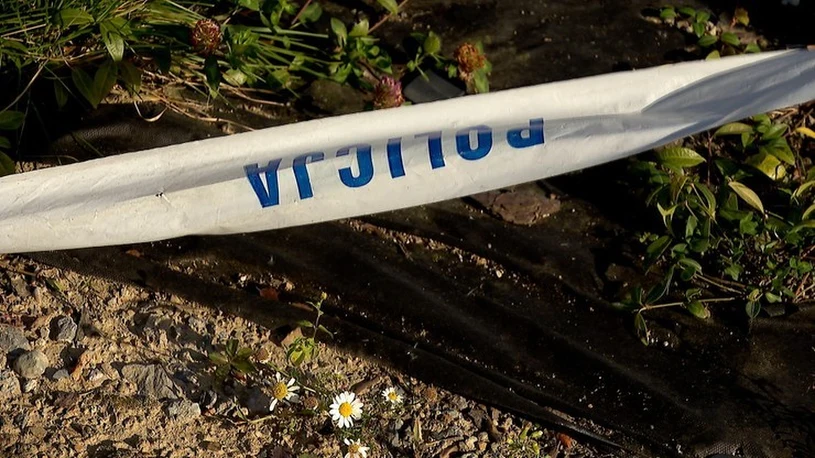Sąsiedzi wstrząśnięci po zabójstwie 16-latki. "Razem podlewa