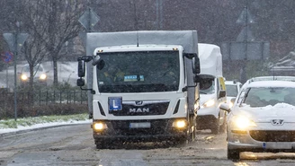 Poszedł za brata na egzamin prawa jazdy. Obaj zostali zatrzymani