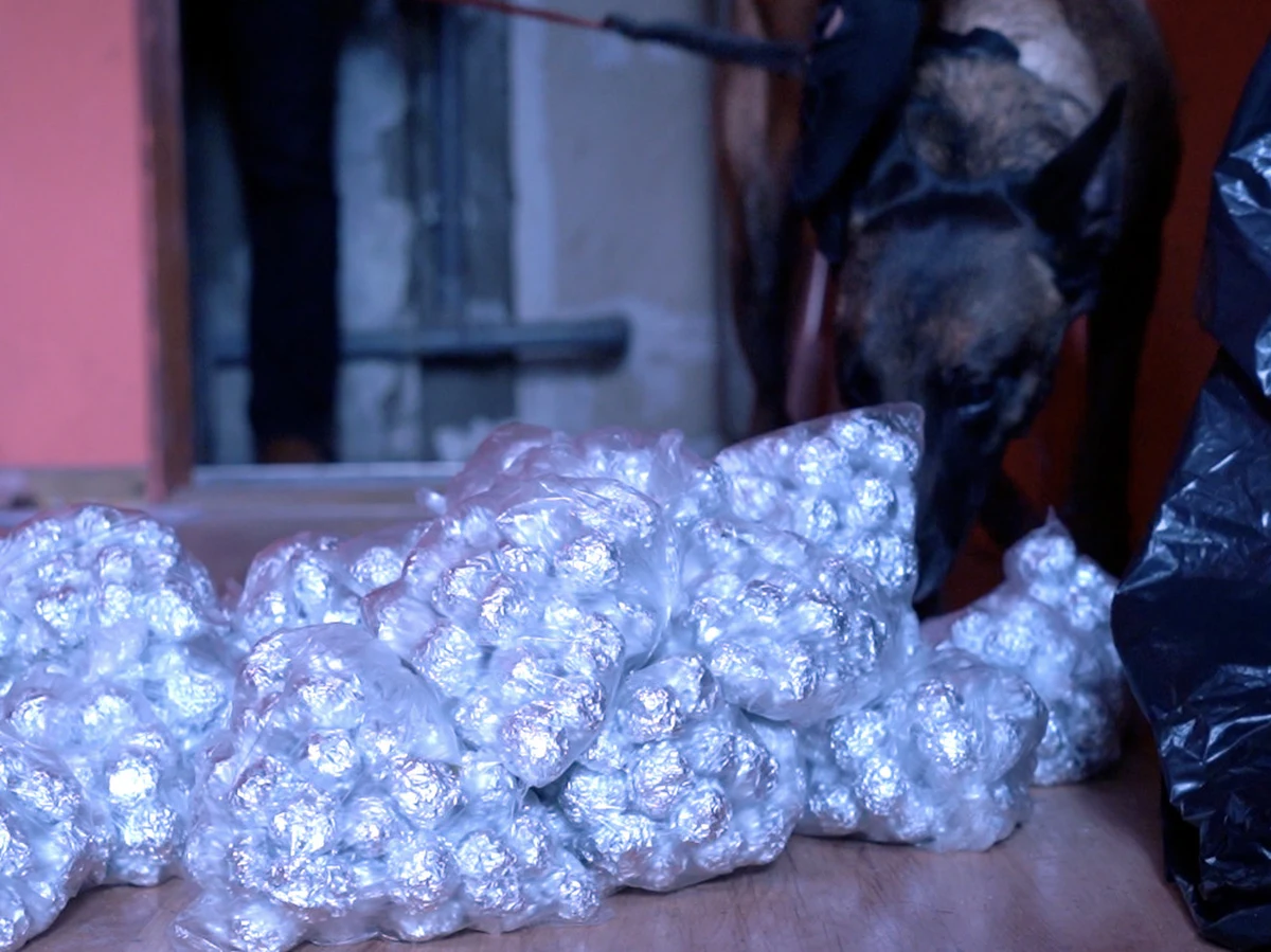 Ponad 8,5 kilograma środków odurzających i substancji psychotropowych znaleźli policjanci na posesji w Warszawie. Były ukryte na strychu i w komórkach lokatorskich. Za ich posiadanie odpowie zatrzymany przez funkcjonariuszy 22-latek.

