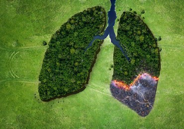 Problemy szpitali i więcej alergii. Jak zmiany klimatu wpływają na nasze zdrowie?