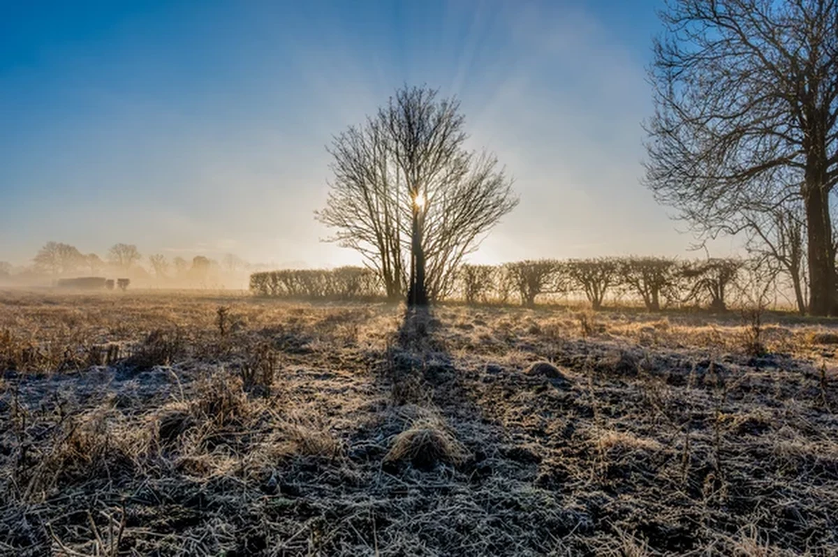 To będzie noc z przymrozkami. Ostrzeżenia przed nimi wydał dla południowej Polski Instytut Meteorologii i Gospodarki Wodnej. Temperatura spadnie poniżej zera między innymi na Dolnym Śląsku.
