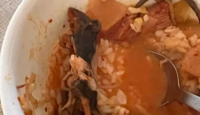 USA: Znaleźli szczura w zupie. Restauracja została zamknięta