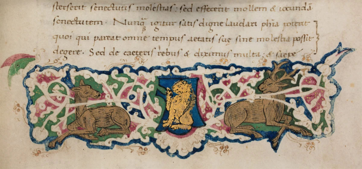 Bezcenny zabytek, piętnastowieczny manuskrypt z dziełami Cycerona, wrócił do Biblioteki Uniwersyteckiej we Wrocławiu. Rękopis został skradziony kilkadziesiąt lat temu, a właściciel stracił nadzieję, że kiedykolwiek się odnajdzie. Historia ma jednak szczęśliwe, niecodzienne zakończenie.