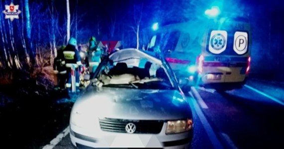 Wprost pod jadący samochód osobowy w Lubelskiem nagle wtargnęła sarna. W wyniku zderzenia zwierzę wpadło do środka auta. Policja apeluje do kierowców o szczególną ostrożność, zwłaszcza podczas jazdy w okolicach lasów. 
