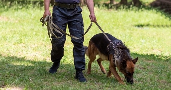 ​Szczęśliwie zakończyły się poszukiwania dwojga zaginionych wczoraj seniorów. Jednym z nich była 92-latka z gminy Biłgoraj (Lubelskie), która późnym wieczorem wyszła z domu i udała się w nieznanym kierunku. Drugim zaginionym był 80-latek z gminy Końskowola (Lubelskie). W poszukiwania oprócz policjantów zaangażowano strażaków OSP i PSP, którzy dysponowali dronem z kamerą termowizyjną oraz grupę poszukiwawczo-ratowniczą z psem.