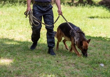 Szczęśliwy finał poszukiwań dwojga seniorów. W akcji policyjny dron i pies 