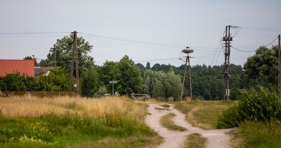 W środę przed Sądem Rejonowym w Lubartowie (Lubelskie) ma ruszyć proces 62-letniego Jerzego B., oskarżonego o narażenie człowieka na niebezpieczeństwo utraty życia. Chodzi o sprawę śmiertelnego pogryzienia 48-latka przez owczarki belgijskie, których właścicielem był oskarżony.