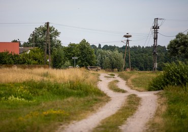 48-latek zagryziony przez psy. Właściciel zwierząt w środę stanie przed sądem