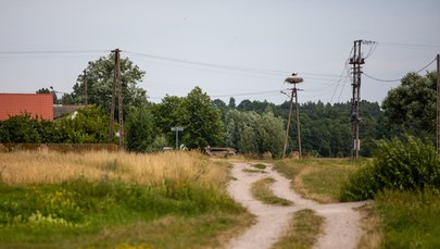 48-latek zagryziony przez psy. Właściciel zwierząt w środę stanie przed sądem