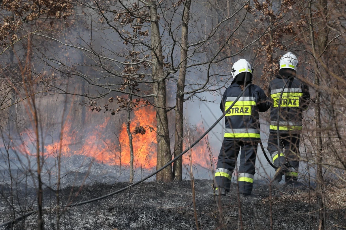 Strażacy z warmińsko-mazurskiego poinformowali, że w miniony weekend odnotowali gwałtowny wzrost pożarów suchych traw. Interweniowali aż 55 razy. W sumie w tym sezonie podobnych pożarów było już 110.