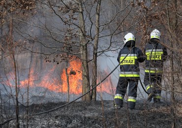 Warmińsko-mazurskie. Gwałtowny wzrost pożarów suchych traw