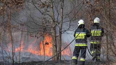Warmińsko-mazurskie. Gwałtowny wzrost pożarów suchych traw