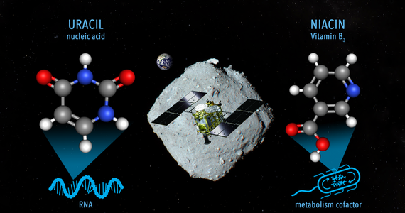 Zwolennicy teorii o możliwym kosmicznym pochodzeniu cząstek organicznych na Ziemi zyskali mocny doświadczalny argument. Międzynarodowy zespół naukowców pod kierunkiem prof. Yasuhiro Oba z Hokkaido University znalazł organiczne cząsteczki w próbkach gruntu planetoidy Ryugu, zebranych i przyniesionych na Ziemię przez sondę Hayabusa2. Jak pisze w najnowszym numerze czasopismo "Nature Communications", to cząsteczki witaminy B3, a także uracylu - jednej z zasad azotowych wchodzących w skład nukleotydów RNA.