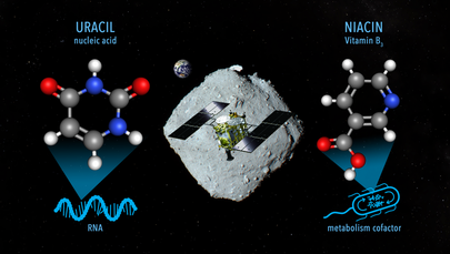 Organiczne znaleziska na planetoidzie Ryugu