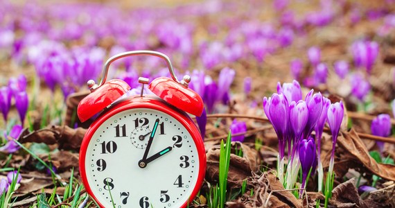 W nocy z soboty 25 marca na niedzielę 26 marca zmieniamy czas z zimowego na letni. Oznacza to, że pośpimy o godzinę krócej. W niedzielę nad ranem wskazówki zegarów przesuniemy z godz. 2:00 na 3:00.