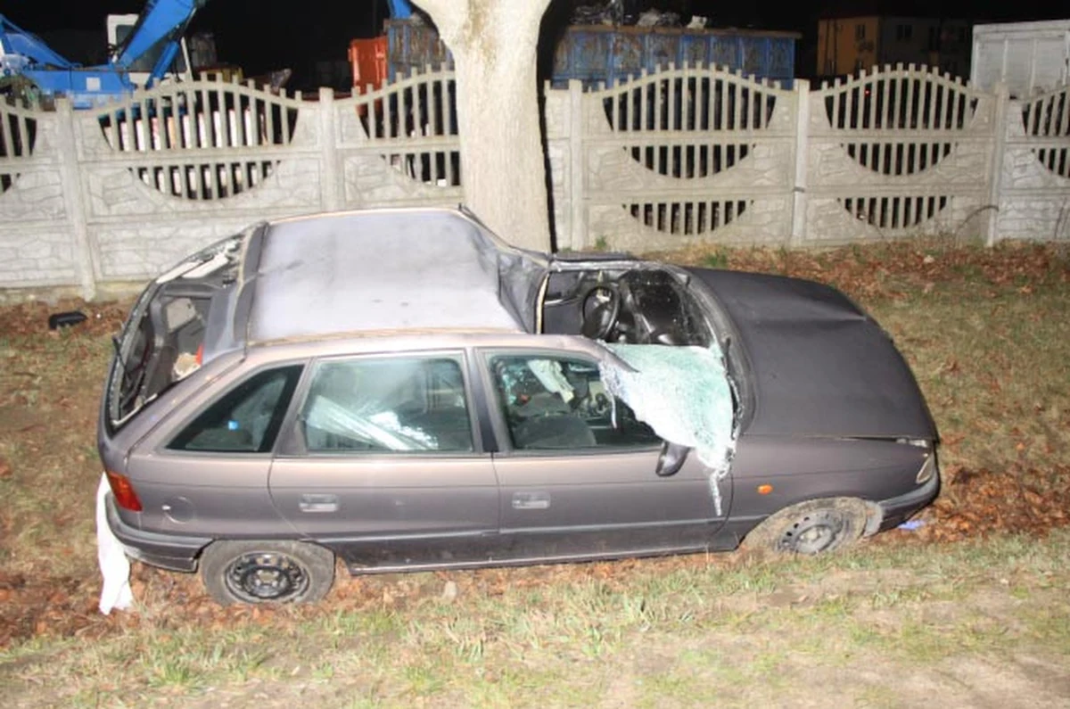 W okolicach Skarżyna (woj. mazowieckie) auto osobowe uderzyło w łosia. Kierowca z urazem kręgosłupa i głowy trafił do szpitala.