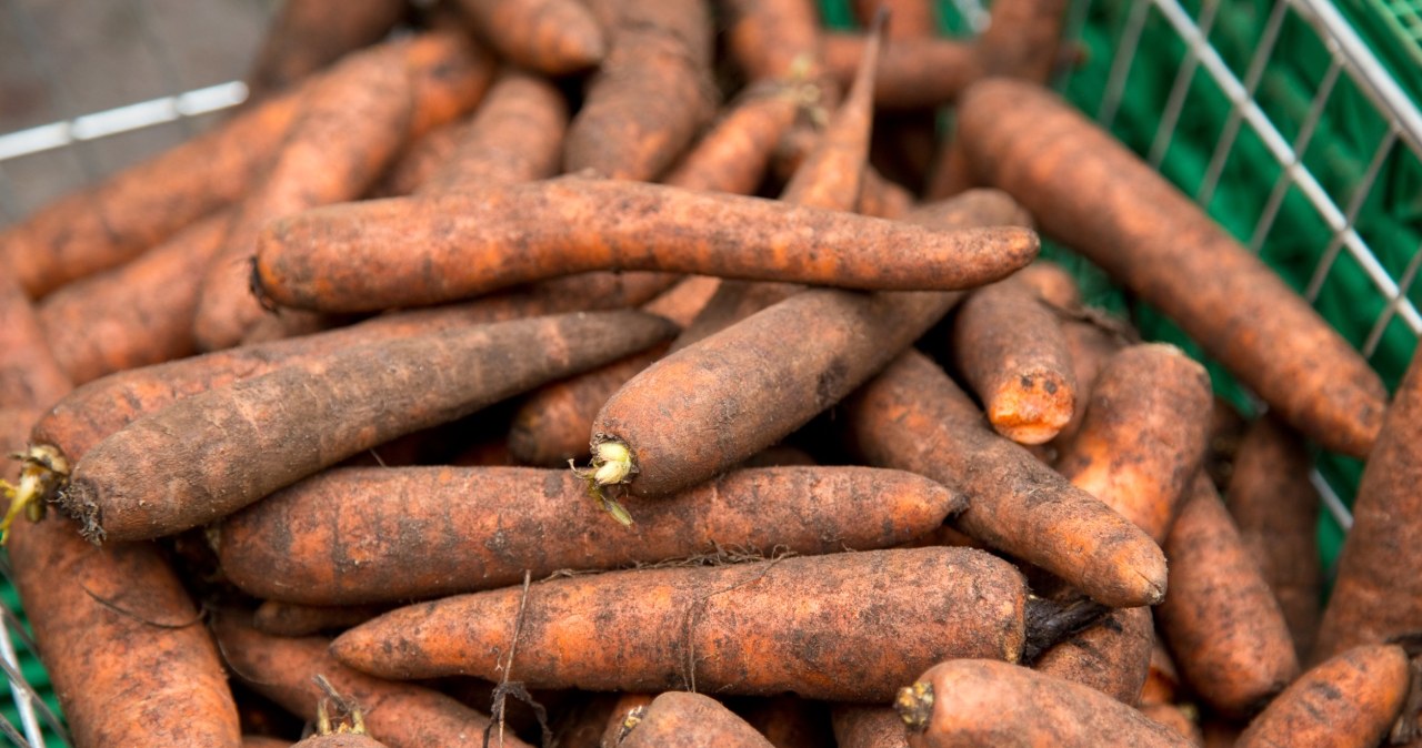 Marchewkę przechowuj tylko w ten sposób. Będzie świeża przez całą zimę