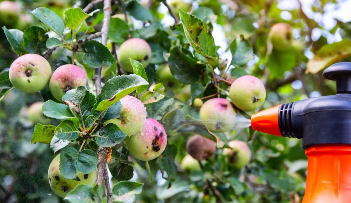 Z powodu taniejącego gazu spada cena saletry amonowej i pozostałych podobnych produktów. To daje szansę na spadek cen żywności w sklepach.
