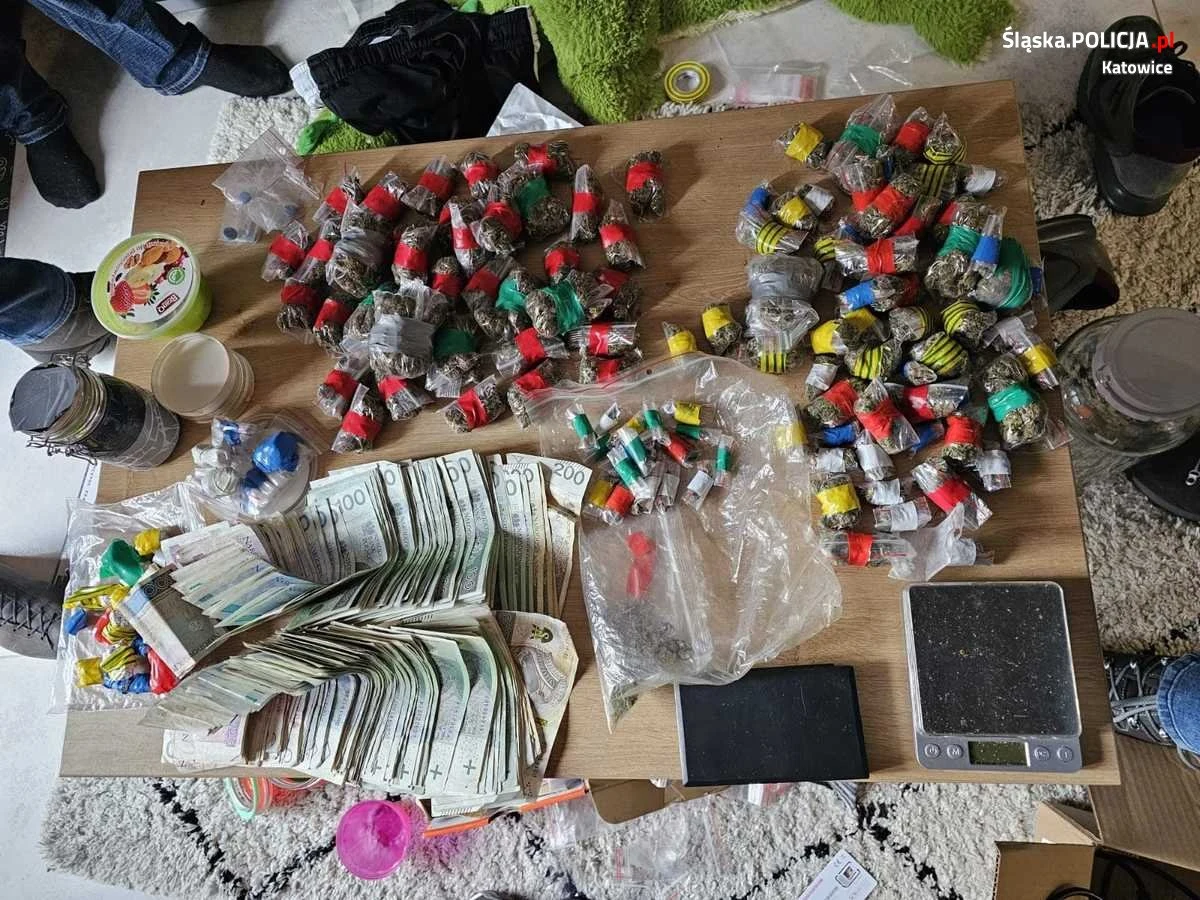 Włosko-ukraińską parę dilerów, powiązanych ze środowiskiem pseudokibiców,  zatrzymali podczas wspólnej akcji policjanci z Krakowa i Katowic. Para jest podejrzana o posiadanie prawie 8 kg narkotyków oraz wprowadzanie ich do obrotu.

