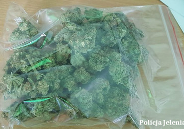 Policjanci przejęli 900 porcji marihuany