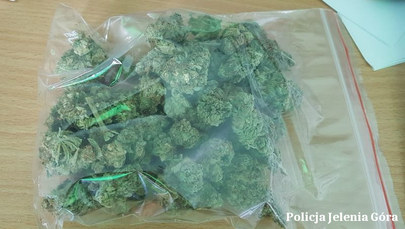 Policjanci przejęli 900 porcji marihuany