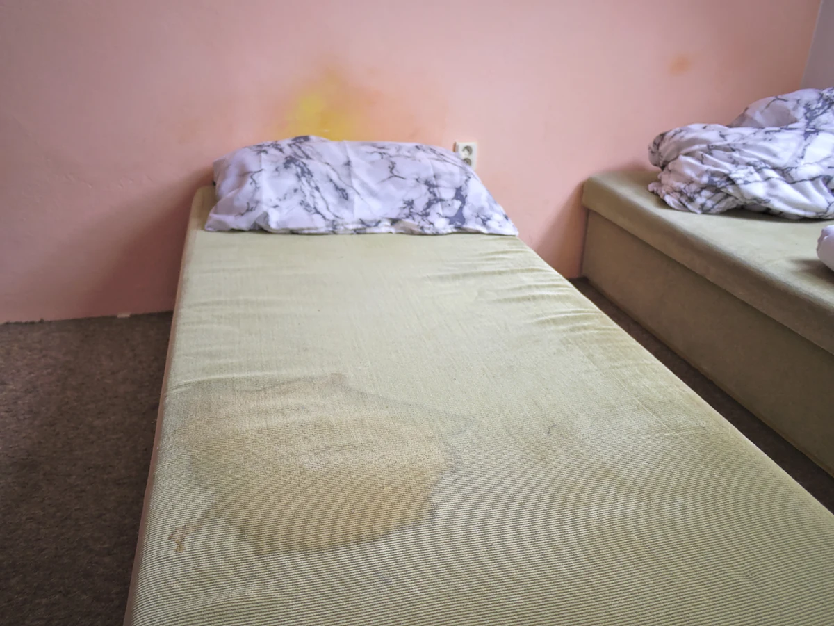 Poznański sanepid zapowiada kolejne kontrole w hostelu dla Ukraińców przy ulicy Warszawskiej w Poznaniu. W styczniu ujawniono tam szereg nieprawidłowości - między innymi zagrzybione ściany czy brak ciepłej wody. Ostatnia kontrola odbyła się 16 lutego.