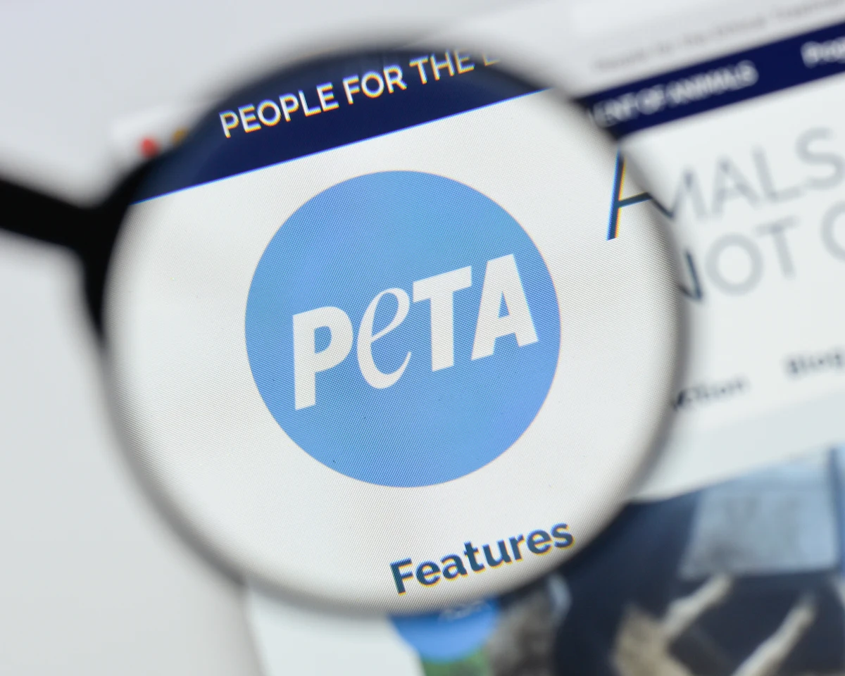 Walcząca o prawa zwierząt organizacja PETA domaga się rezygnacji z wykorzystywania żywych zwierząt w hollywoodzkich produkcjach. I to całkowitej rezygnacji. Powodem apelu jest niedawna śmierć konia na planie serialu "Władca Pierścieni". 