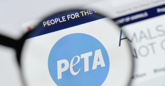 Walcząca o prawa zwierząt organizacja PETA domaga się rezygnacji z wykorzystywania żywych zwierząt w hollywoodzkich produkcjach. I to całkowitej rezygnacji. Powodem apelu jest niedawna śmierć konia na planie serialu "Władca Pierścieni". 