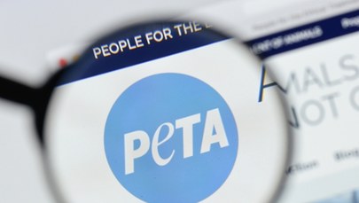 PETA domaga się rezygnacji z wykorzystywania żywych zwierząt w hollywoodzkich produkcjach