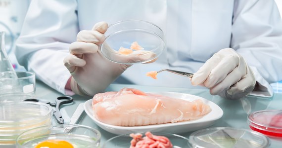 Włoski rząd zatwierdził ustawę zakazującą stosowania żywności i pasz dla zwierząt wyprodukowanych w laboratoriach. Ma to na celu „zablokowanie podawania niekonwencjonalnych potraw na włoskich stołach”.