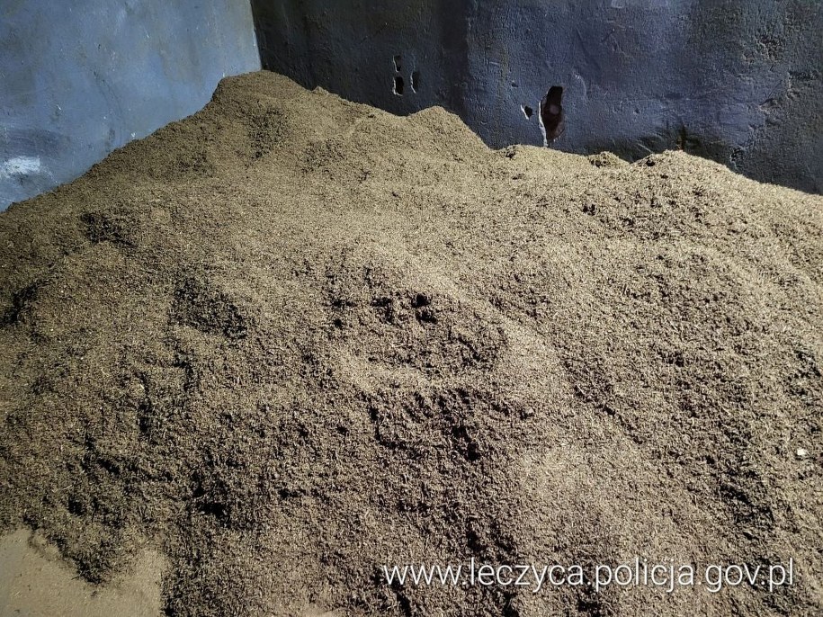 /Policja w Łęczycy /Policja