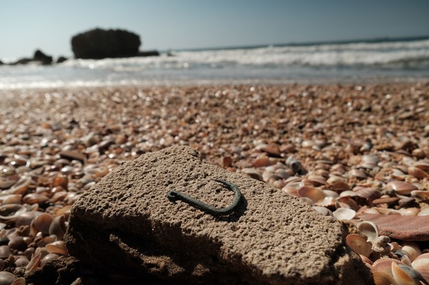 /foto: Emil Aladjem, Israel Antiquity Authority  /PAP/EPA