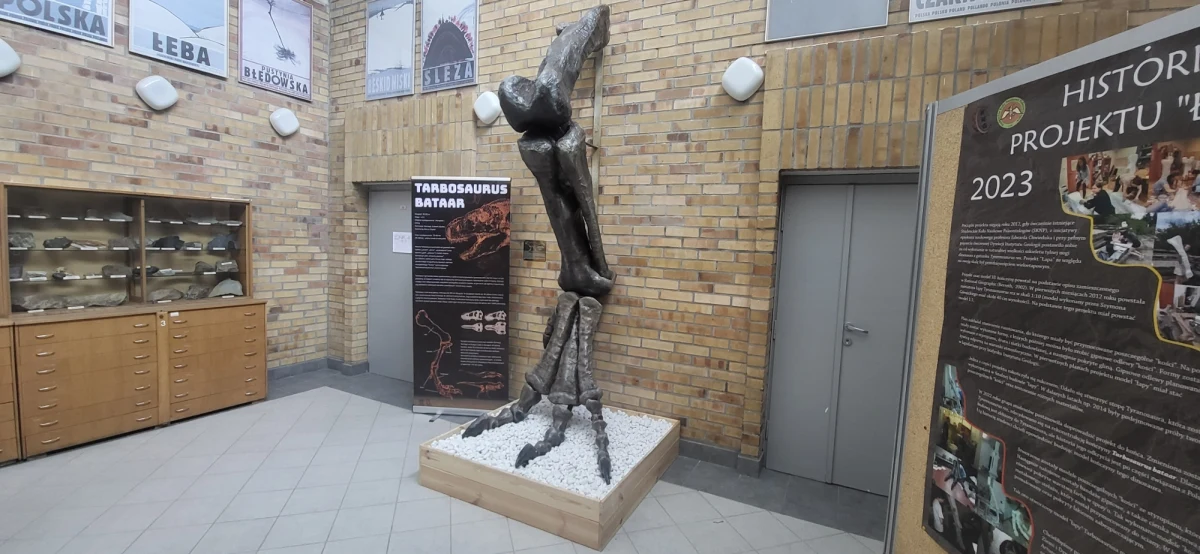 Niecodzienny eksponat pojawił się w Instytucie Geologii Uniwersytetu im. Adama Mickiewicza w Poznaniu. To zrekonstruowana tylna kończyna tarbozaura, bliskiego kuzyna tyranozaura.